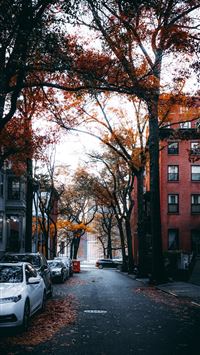 strasbourg wallpaper