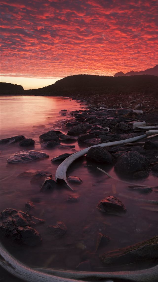 1284x2778 paradise bay antarctica - paradise bay antarctica iPhone Wallpaper