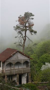 georgia country wallpaper