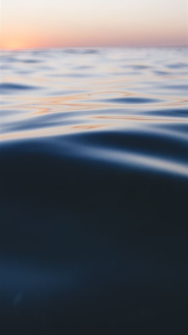 1284x2778 brighton - brighton iPhone Wallpaper