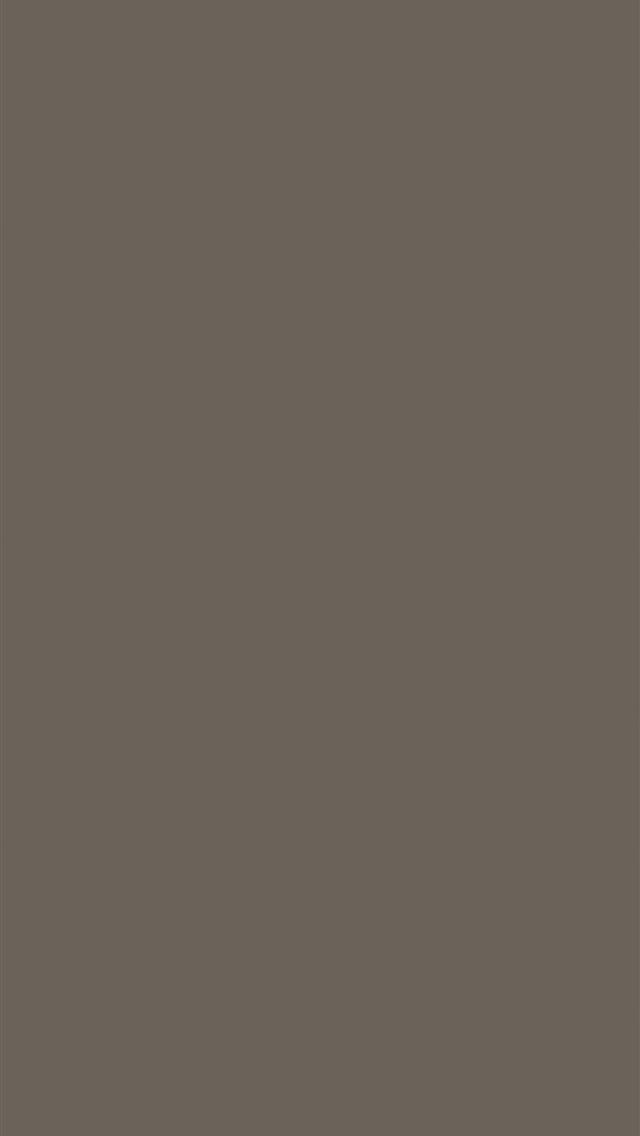 1284x2778 brighton - brighton iPhone Wallpaper