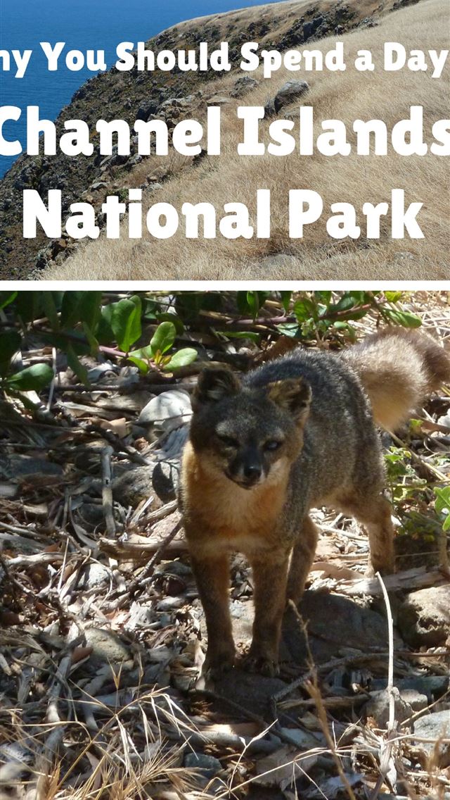 1284x2778 channel islands national park - channel islands national park iPhone Wallpaper