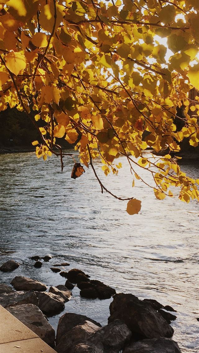 1284x2778 bern - bern iPhone Wallpaper