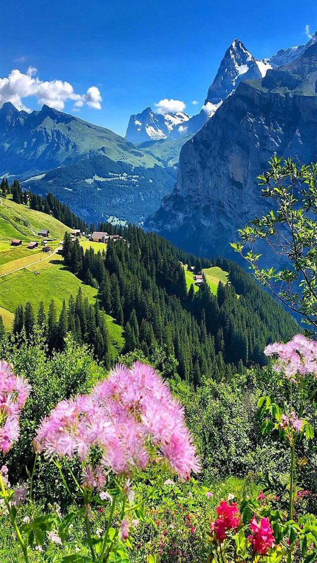 1284x2778 bern - bern iPhone Wallpaper