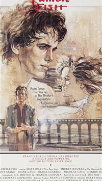 slowpoke hd wallpaper