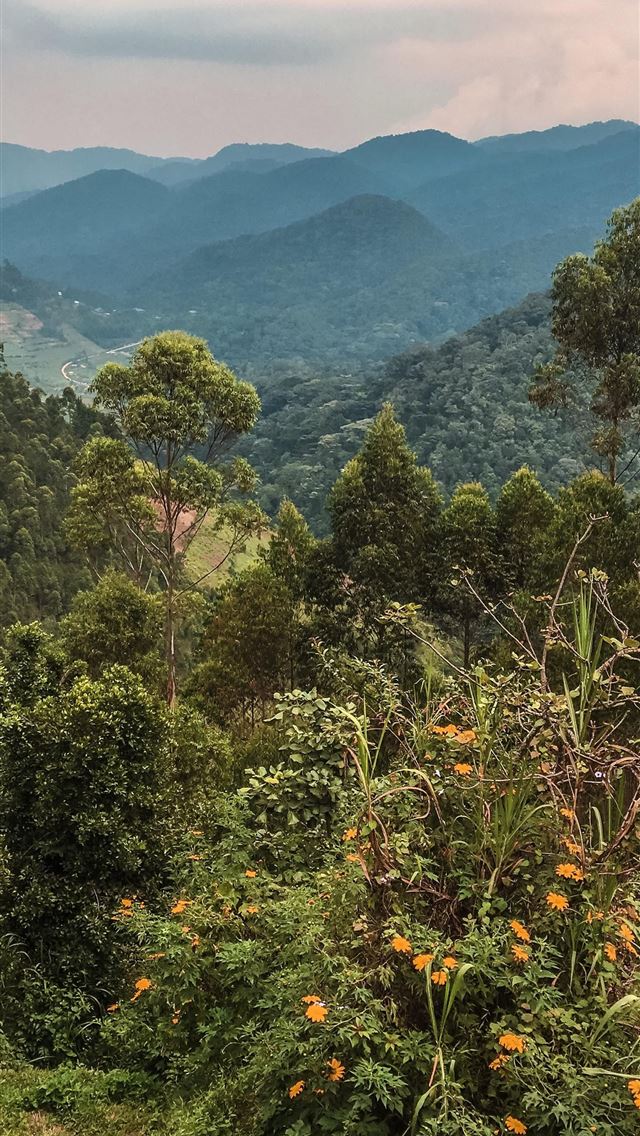 1284x2778 uganda - uganda iPhone Wallpaper