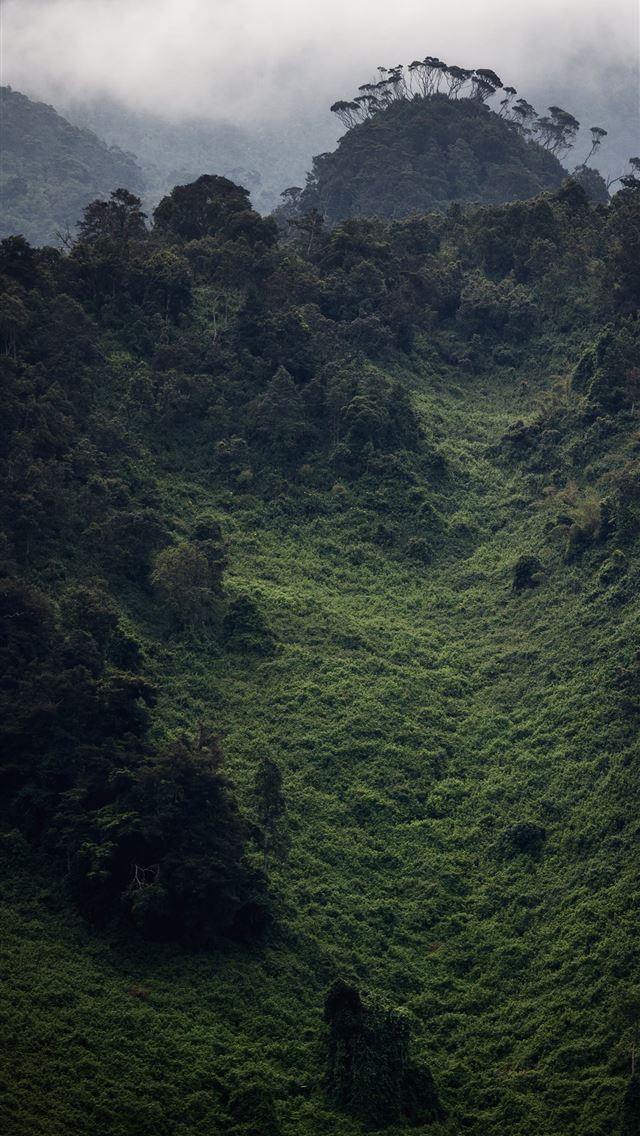 1284x2778 uganda - uganda iPhone Wallpaper