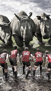 white rhinoceros wallpaper