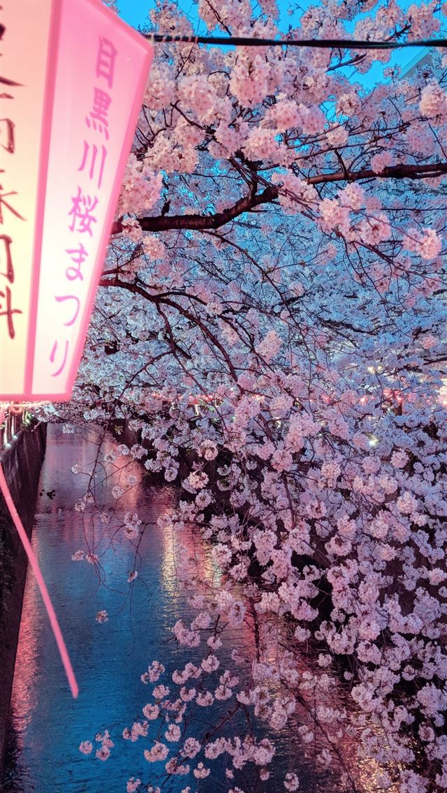 1284x2778 shinjuku gyoen - shinjuku gyoen iPhone Wallpaper