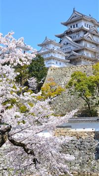 shinjuku gyoen wallpaper