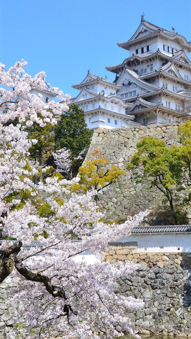 1284x2778 shinjuku gyoen - shinjuku gyoen iPhone Wallpaper