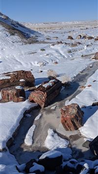 petrified forest national park wallpaper