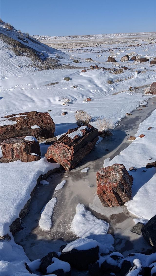 1284x2778 petrified forest national park - petrified forest national park iPhone Wallpaper