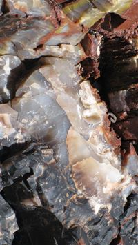 petrified forest national park wallpaper