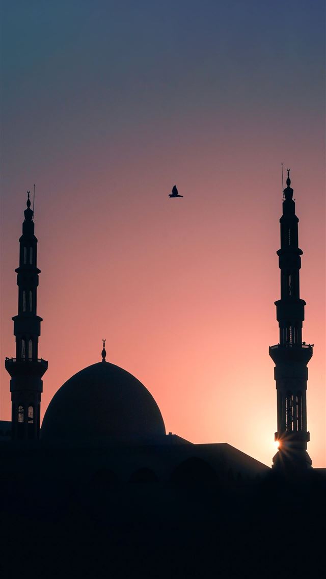 1284x2778 belarus - belarus iPhone Wallpaper