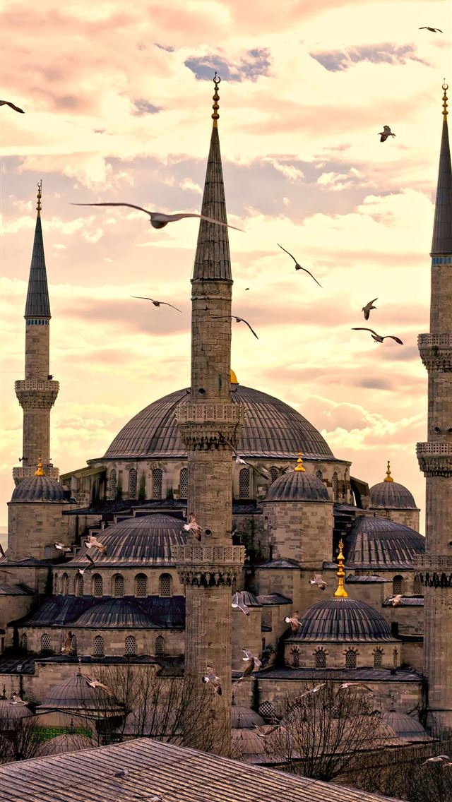 1284x2778 mosque of cordoba - mosque of cordoba iPhone Wallpaper
