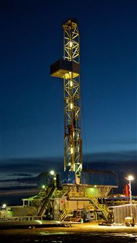 beedrill hd wallpaper