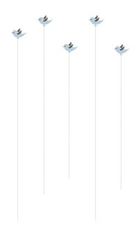 pidgeot hd wallpaper