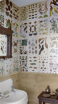 olympique lyonnais wallpaper