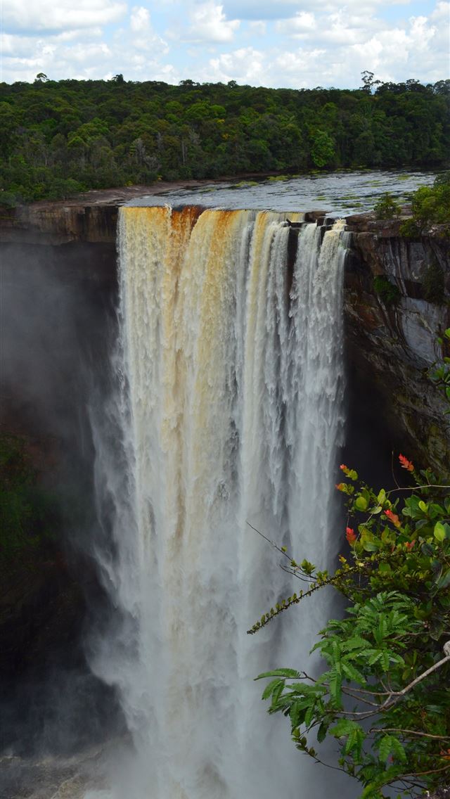 1284x2778 guyana - guyana iPhone Wallpaper