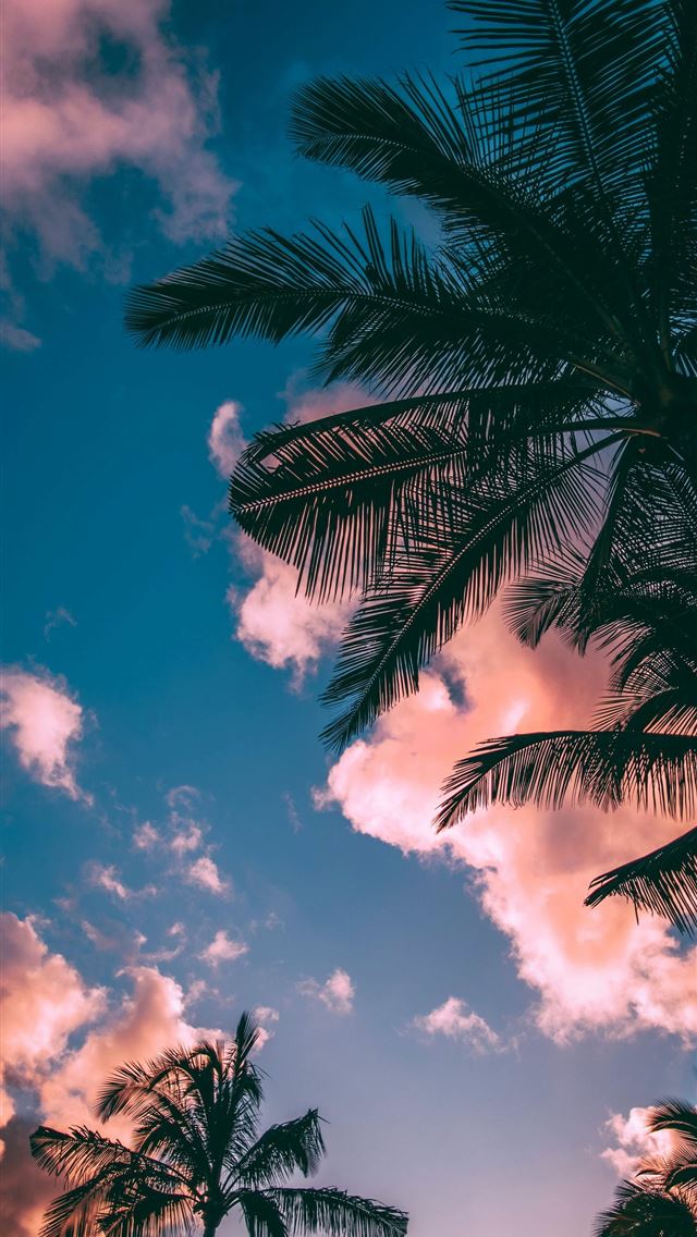 1284x2778 dominican republic - dominican republic iPhone Wallpaper