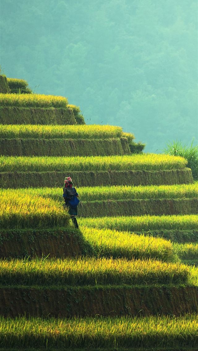 1284x2778 ubud - ubud iPhone Wallpaper