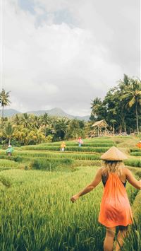 ubud wallpaper