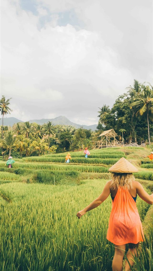 1284x2778 ubud - ubud iPhone Wallpaper