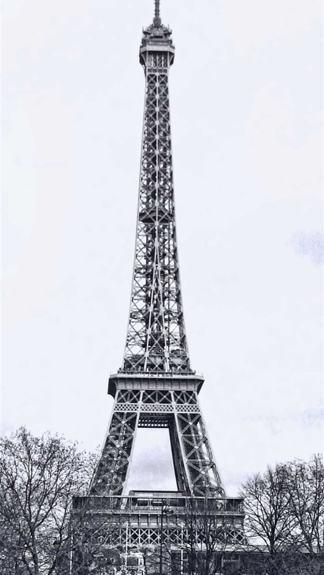 1125x2436 bordeaux - bordeaux iPhone Wallpaper