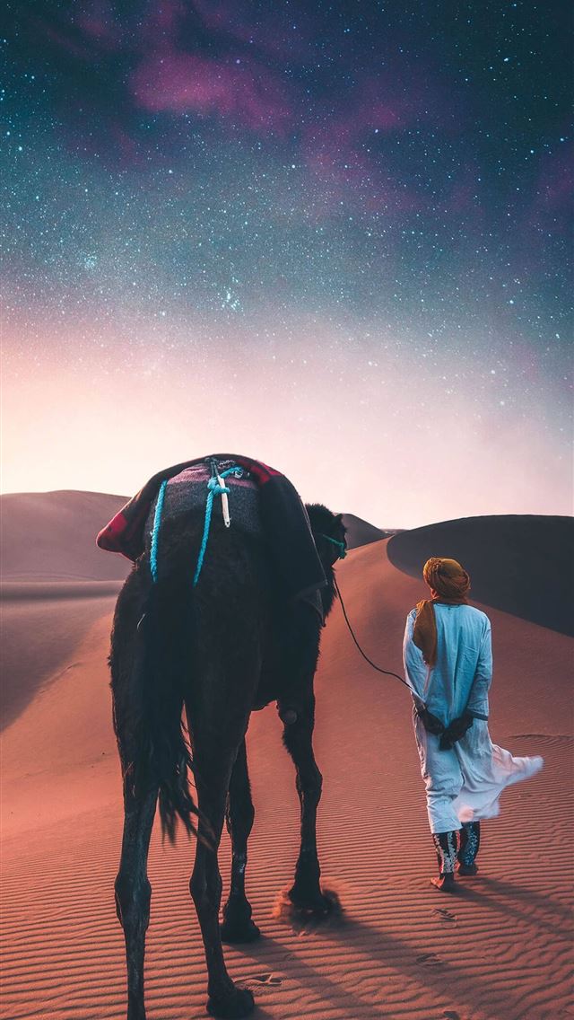 1284x2778 camels - camels iPhone Wallpaper