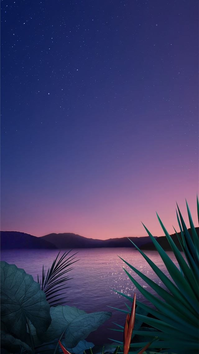1284x2778 nokia 8 - nokia 8 iPhone Wallpaper