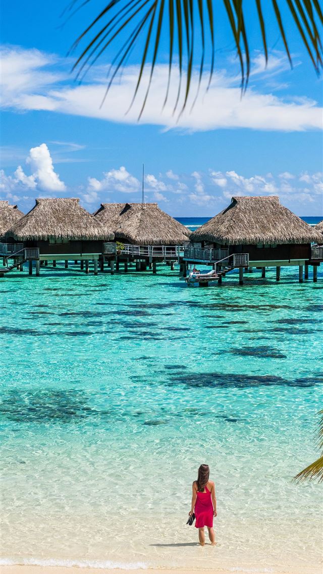 1284x2778 polynesia - polynesia iPhone Wallpaper