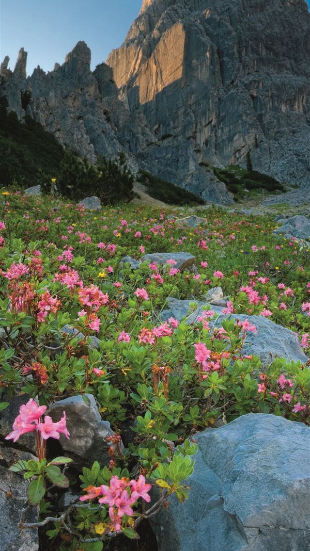 1125x2436 innsbruck - innsbruck iPhone Wallpaper