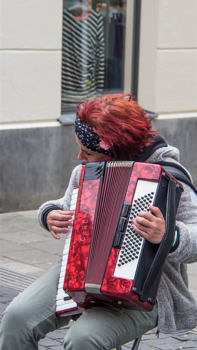 1284x2778 accordion - accordion iPhone Wallpaper