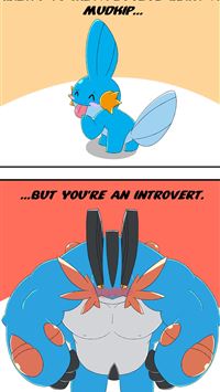 swampert hd wallpaper