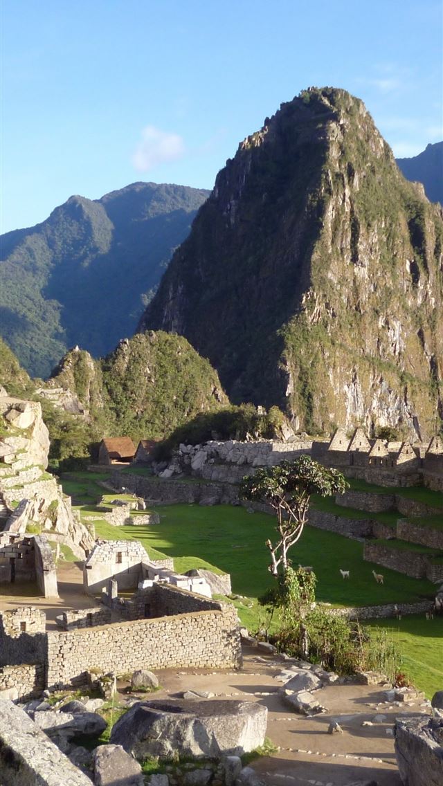 1284x2778 cusco - cusco iPhone Wallpaper