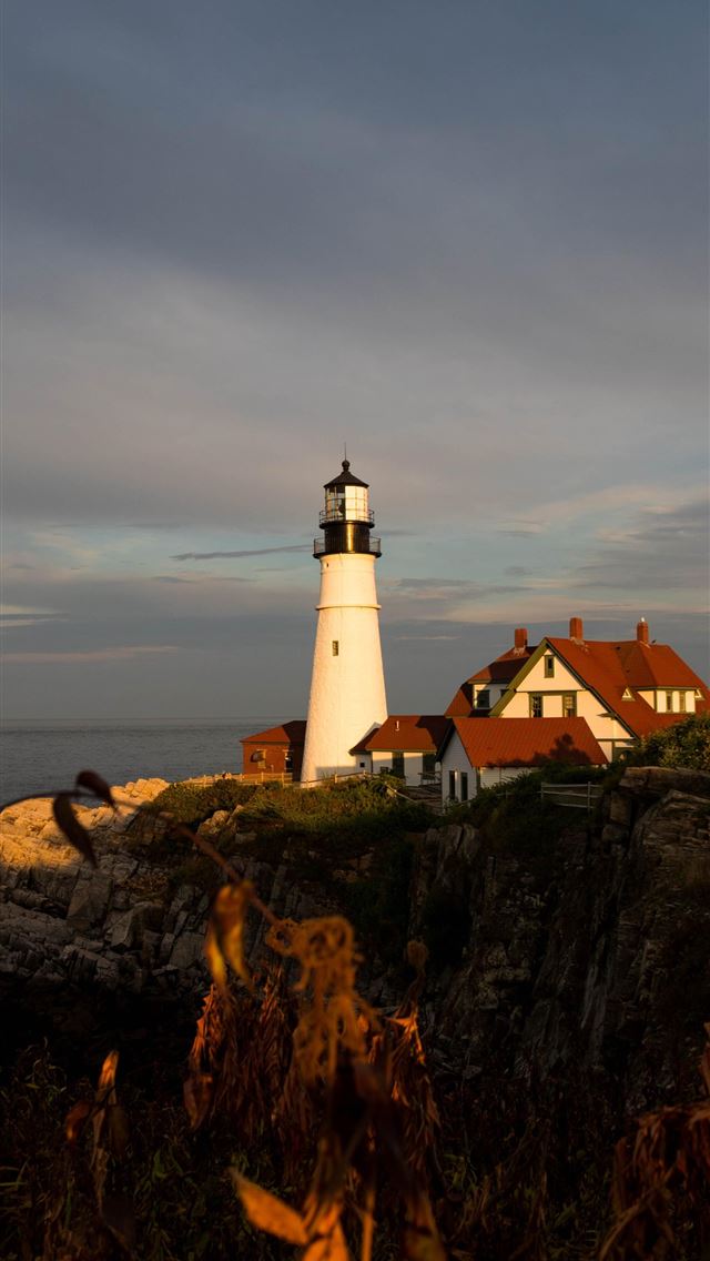 1284x2778 maine - maine iPhone Wallpaper