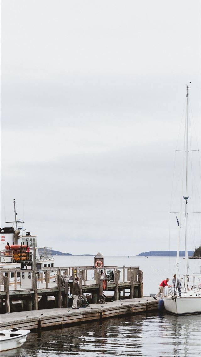 1284x2778 maine - maine iPhone Wallpaper