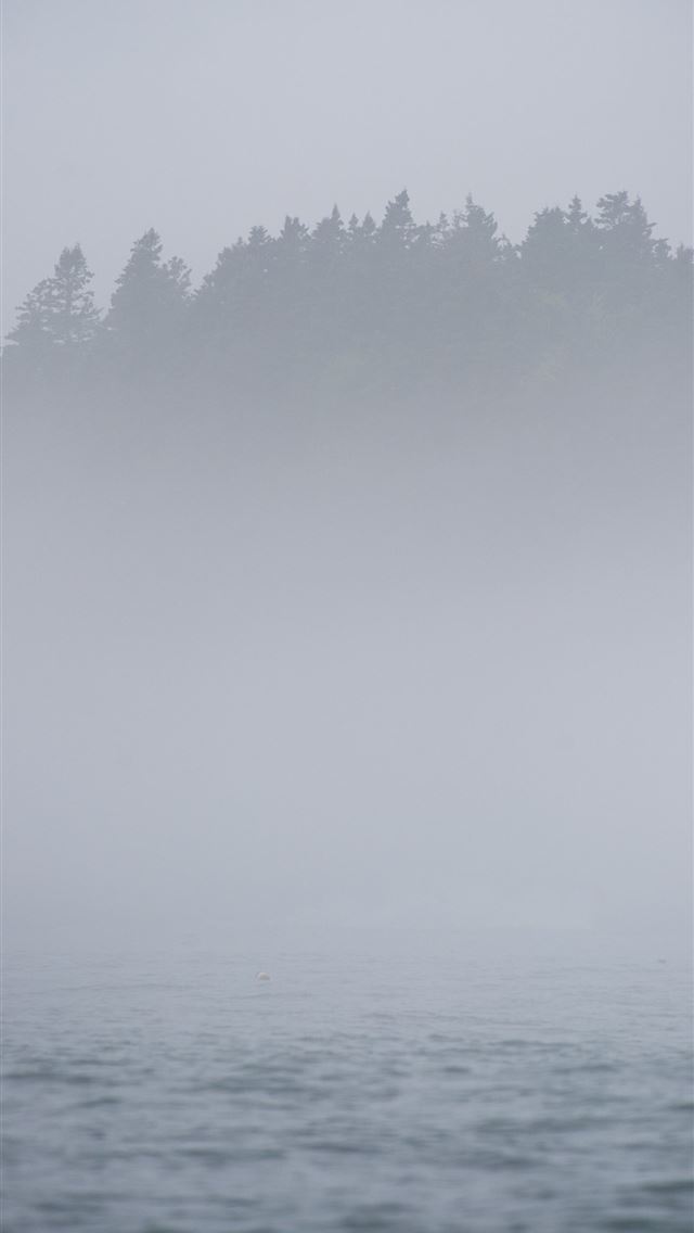 1284x2778 maine - maine iPhone Wallpaper