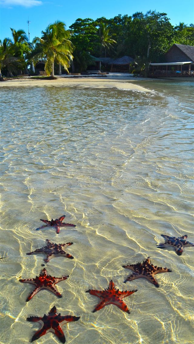 1284x2778 vanuatu - vanuatu iPhone Wallpaper