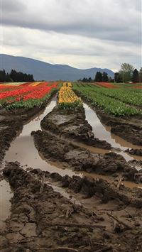 mud wallpaper