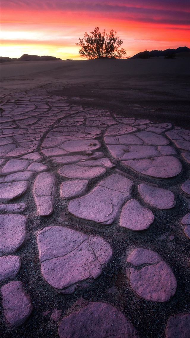 1284x2778 mud - mud iPhone Wallpaper