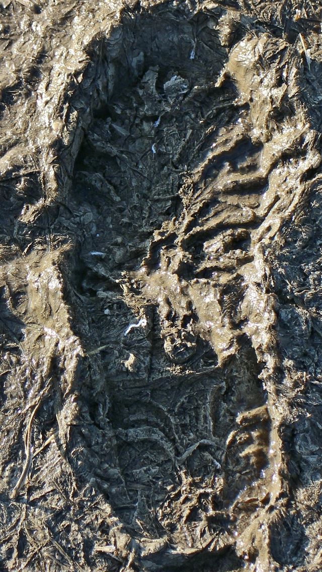 1284x2778 mud - mud iPhone Wallpaper