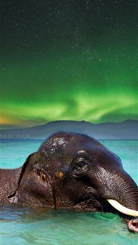 ivory coast wallpaper