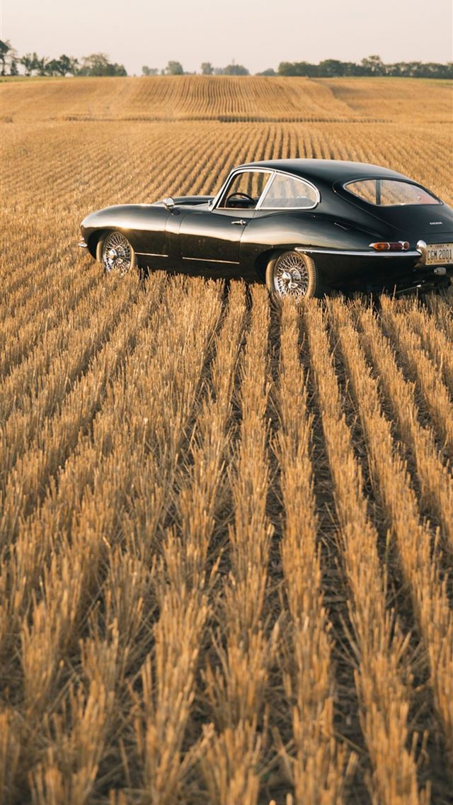 1284x2778 jaguar s type - jaguar s type iPhone Wallpaper