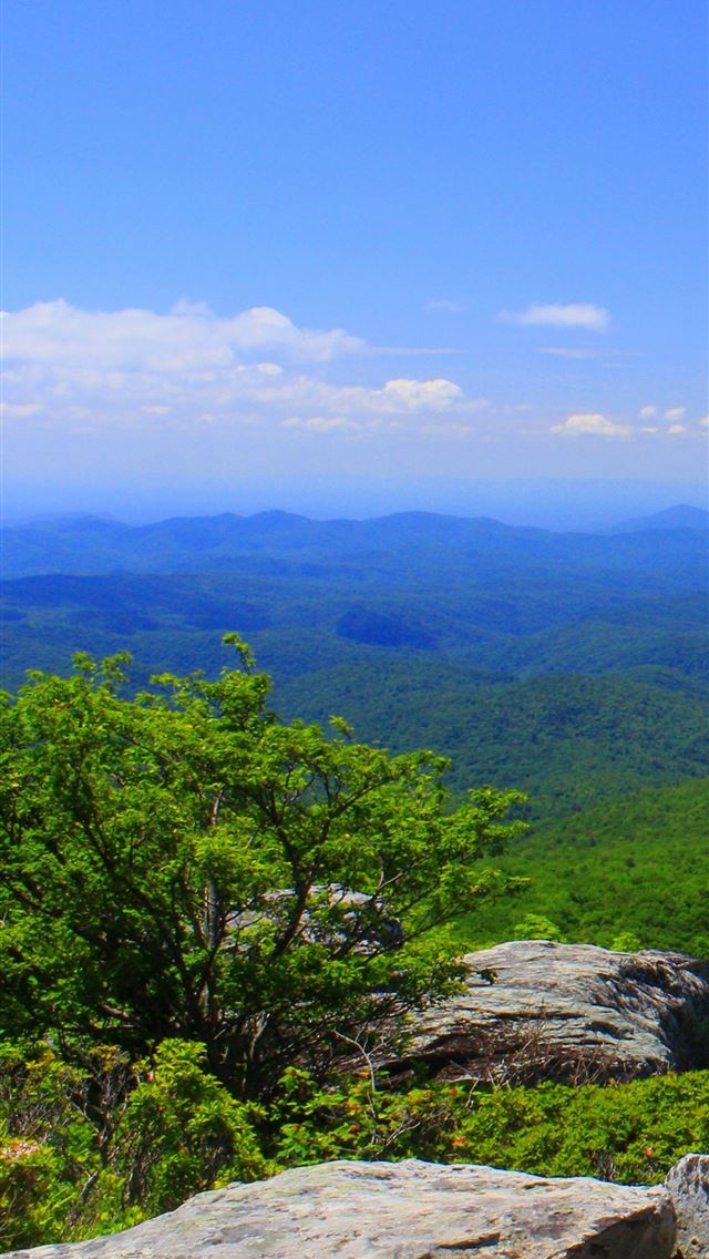 1284x2778 north carolina - north carolina iPhone Wallpaper