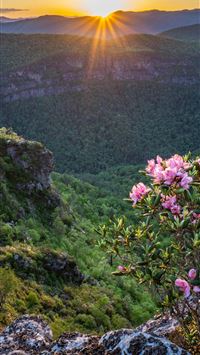 north carolina wallpaper