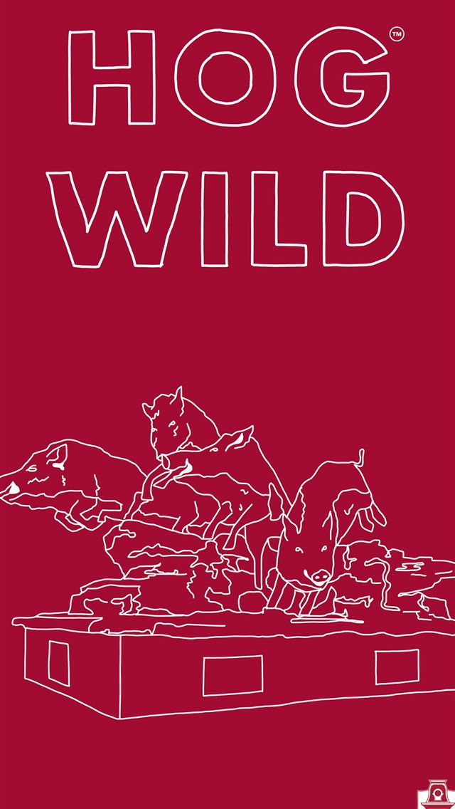 1284x2778 arkansas - arkansas iPhone Wallpaper