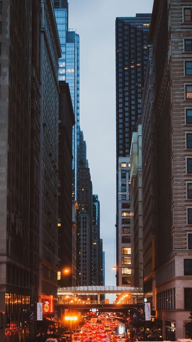1284x2778 illinois - illinois iPhone Wallpaper
