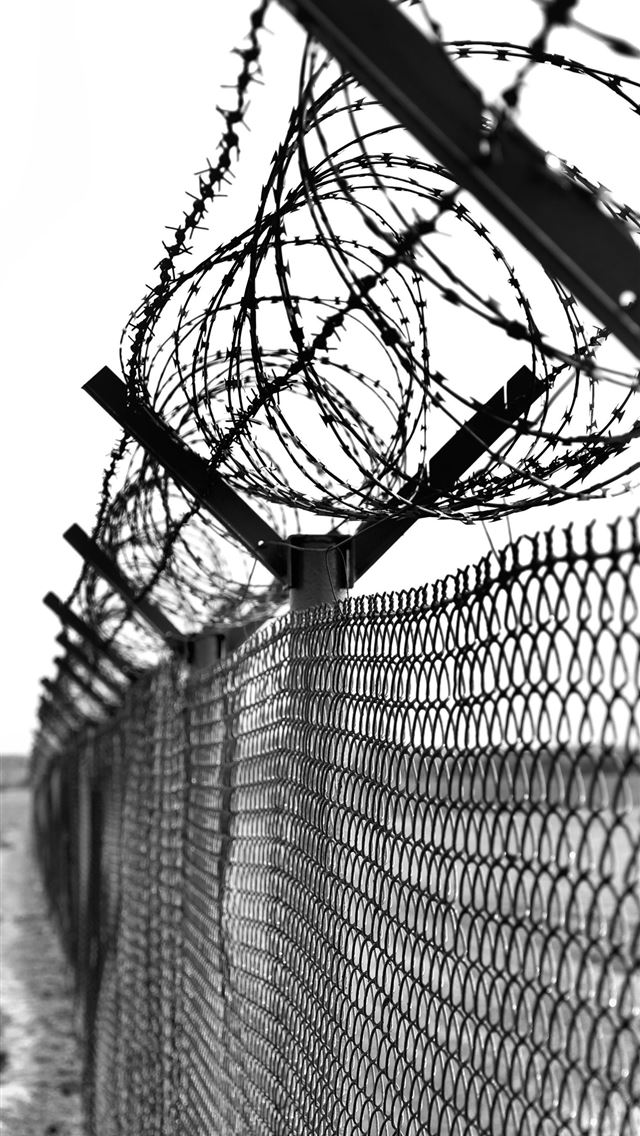 1284x2778 fencing - fencing iPhone Wallpaper